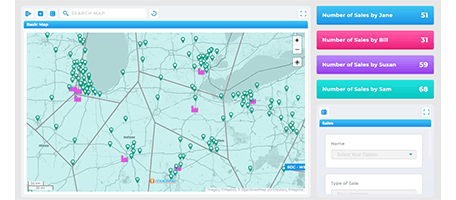 create a custom map with pins